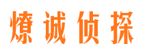 雁山市侦探公司